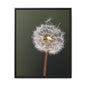 Framed Dandelion Canvas Print — Matte Botanical Wall Art