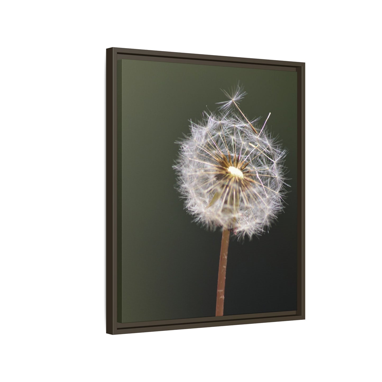 Framed Dandelion Canvas Print — Matte Botanical Wall Art
