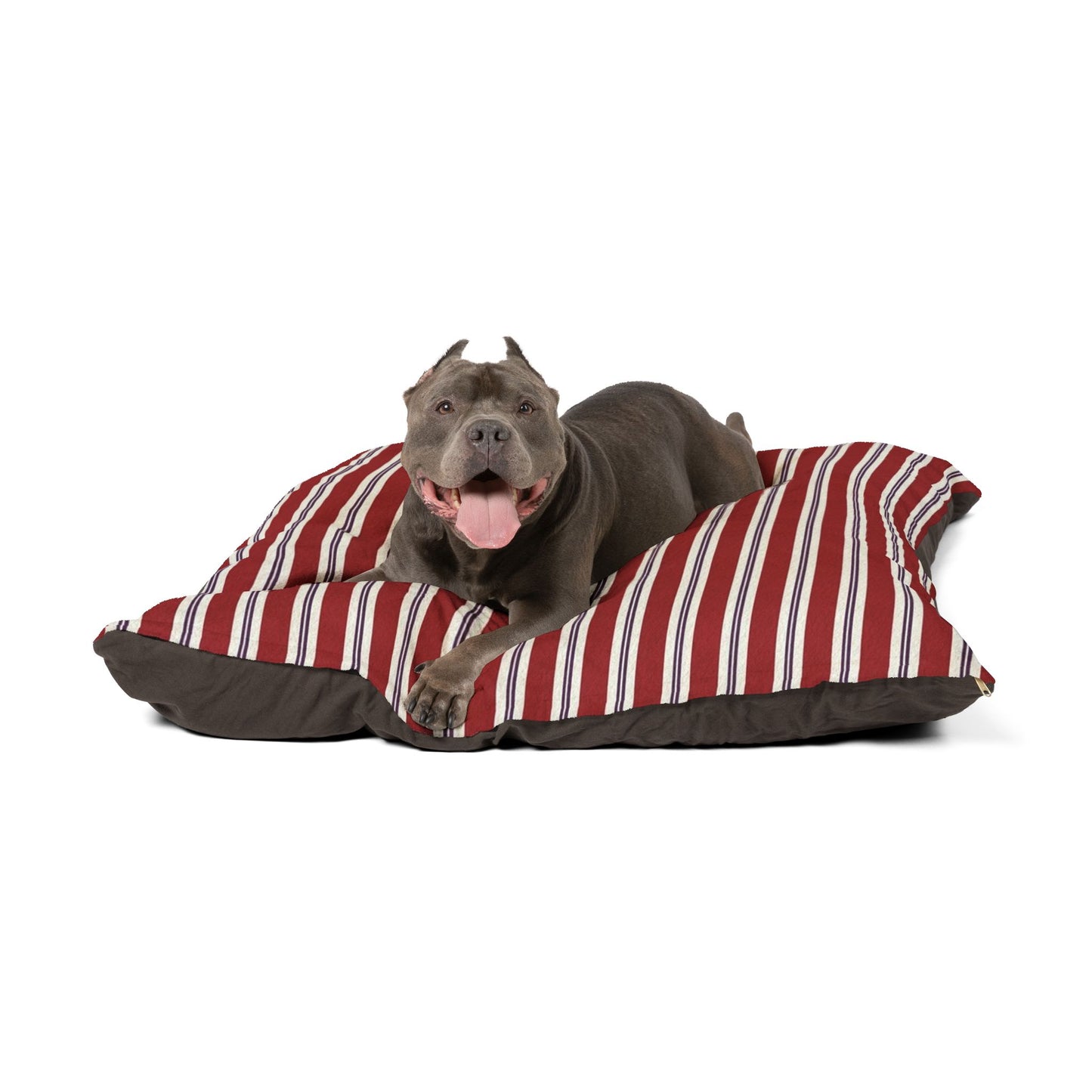 Pet Bed