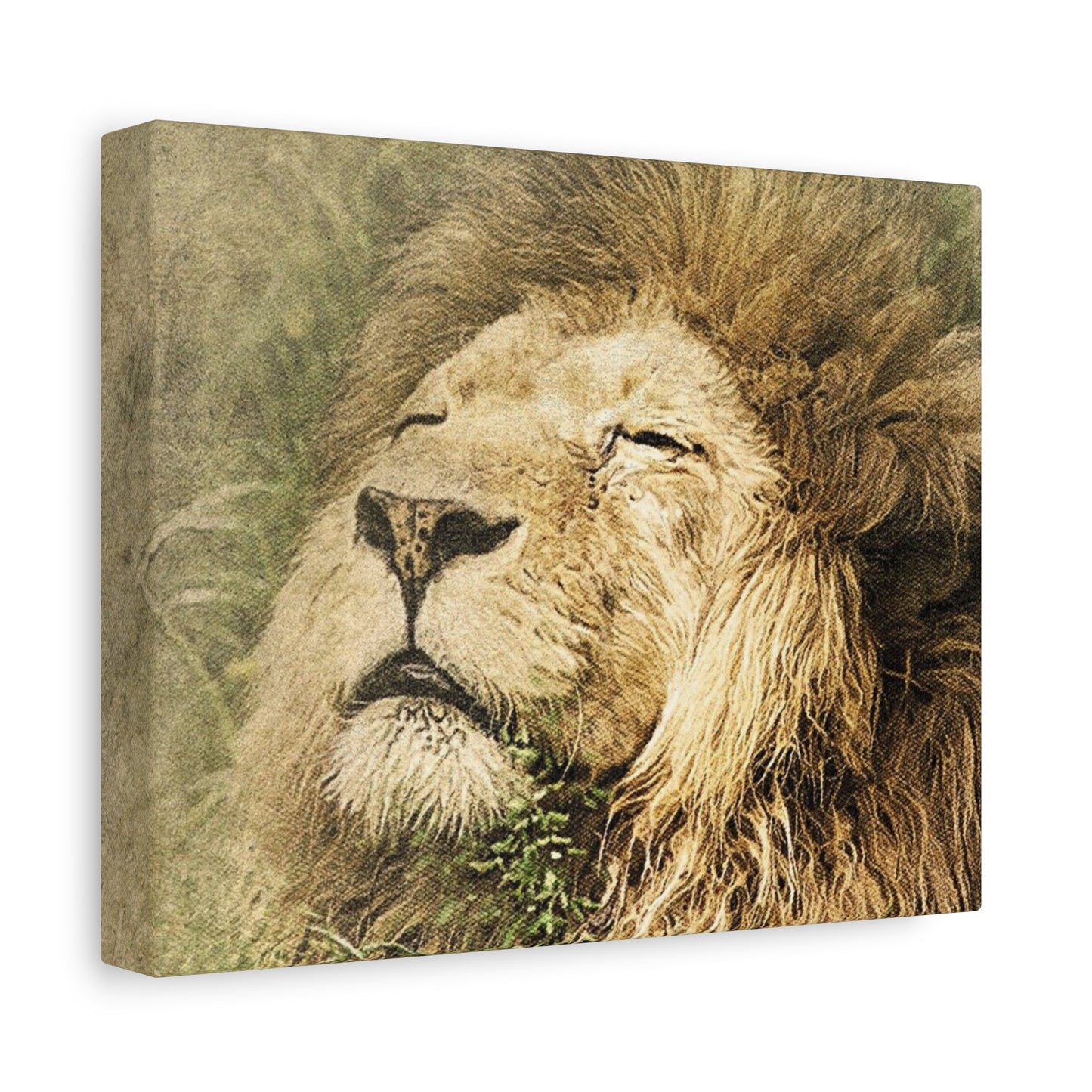 Lion Portrait Matte Canvas Print — Stretched 1.25" Wall Art