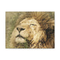 Lion Portrait Matte Canvas Print — Stretched 1.25" Wall Art