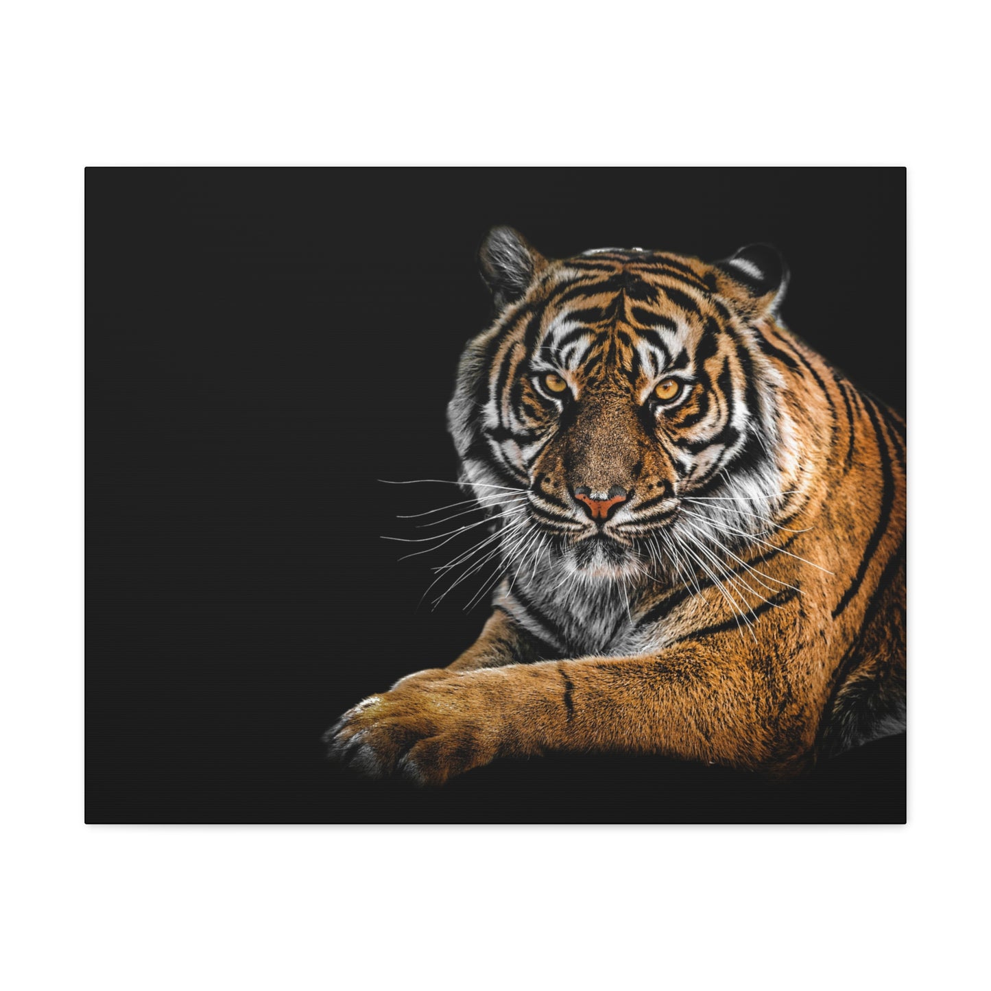 Majestic Tiger Canvas Art, Perfect for Animal Lovers