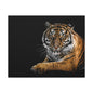 Majestic Tiger Canvas Art, Perfect for Animal Lovers