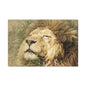 Lion Portrait Matte Canvas Print — Stretched 1.25" Wall Art