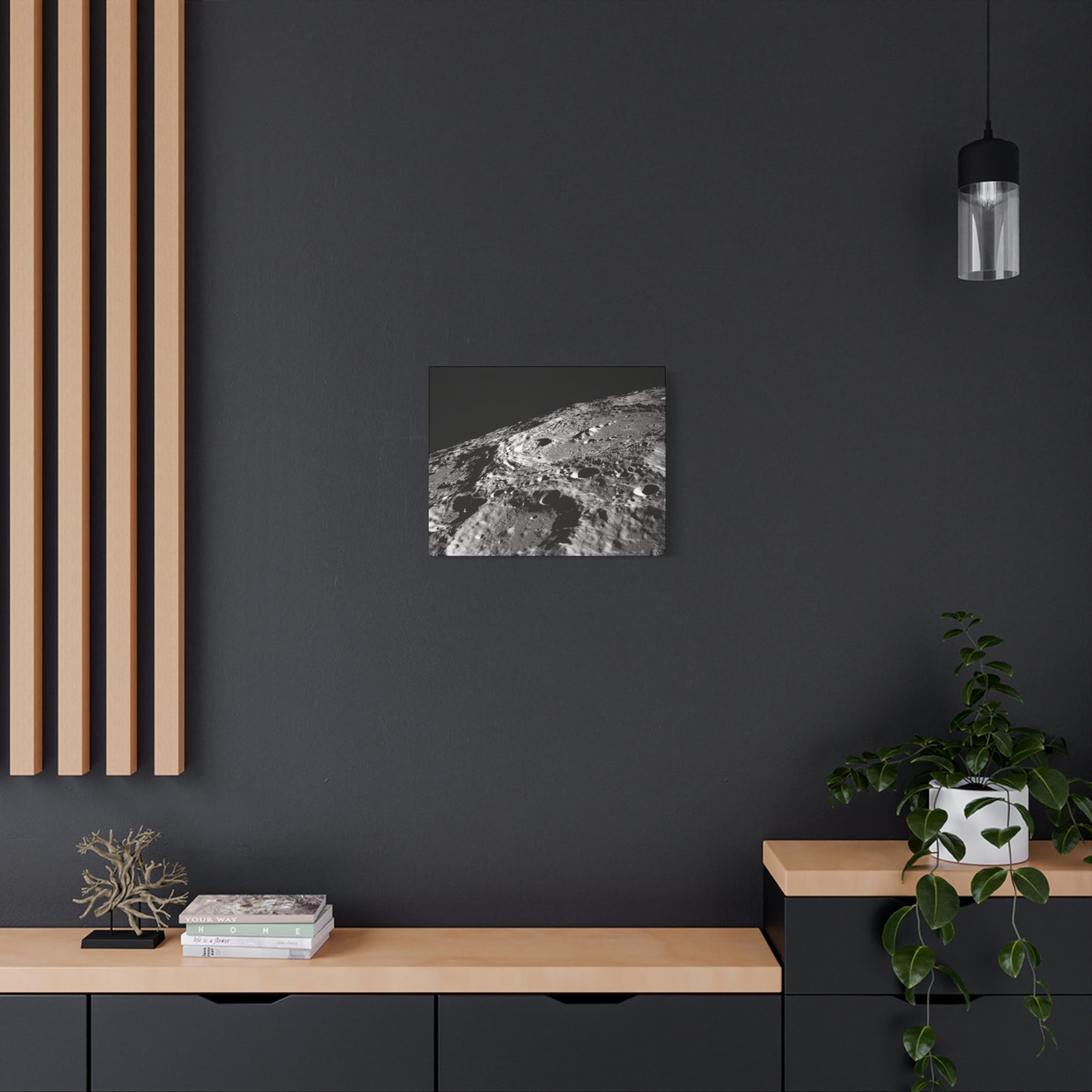 Lunar Surface Matte Canvas Print — Black & White Moon Crater Wall Art