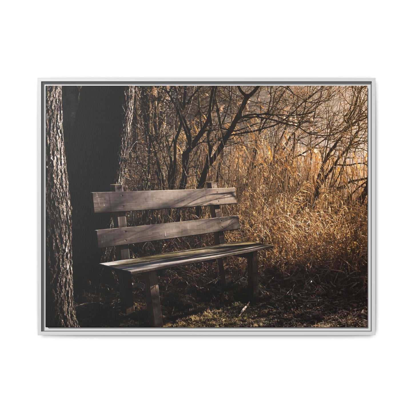 Framed Matte Canvas Print — Autumn Park Bench Photography