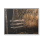 Framed Matte Canvas Print — Autumn Park Bench Photography