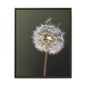 Framed Dandelion Canvas Print — Matte Botanical Wall Art