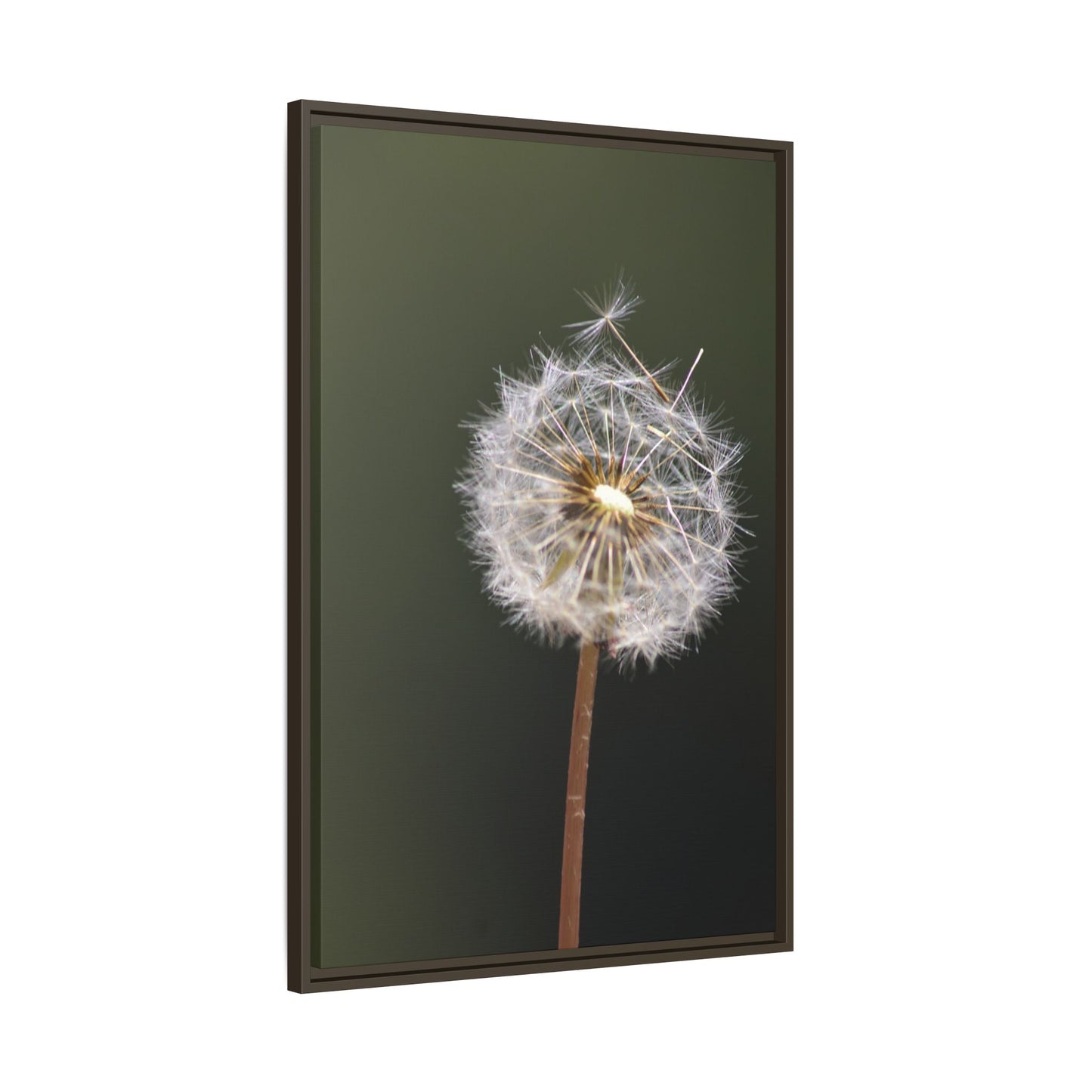 Framed Dandelion Canvas Print — Matte Botanical Wall Art