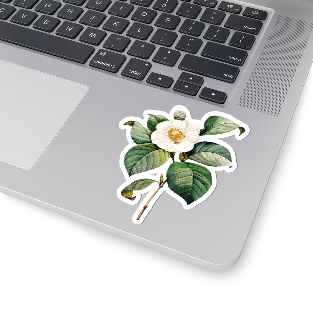 Vintage Camellia Flower Sticker — Botanical Kiss-Cut Decal for Laptops & Journals