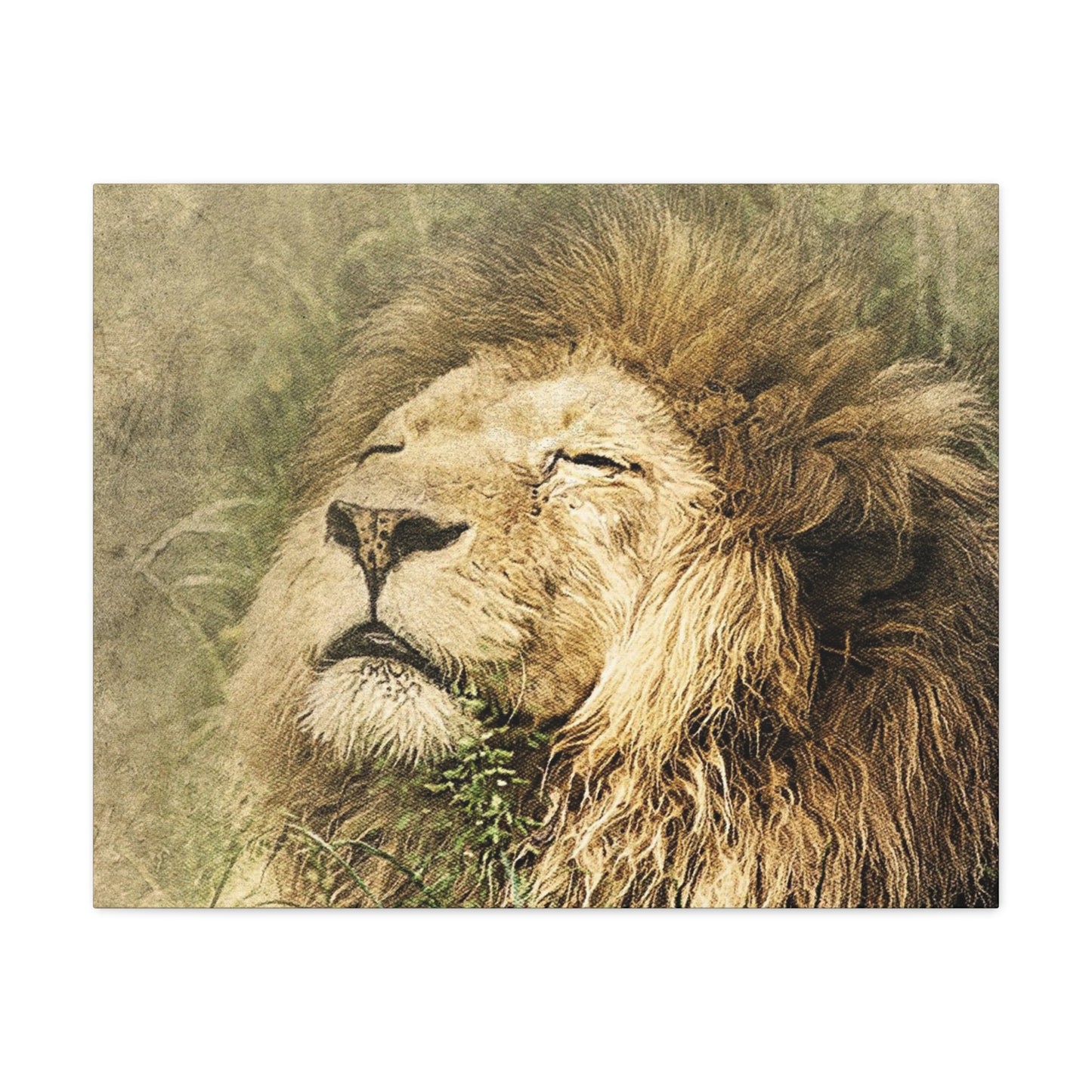 Lion Portrait Matte Canvas Print — Stretched 1.25" Wall Art