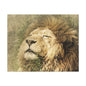 Lion Portrait Matte Canvas Print — Stretched 1.25" Wall Art