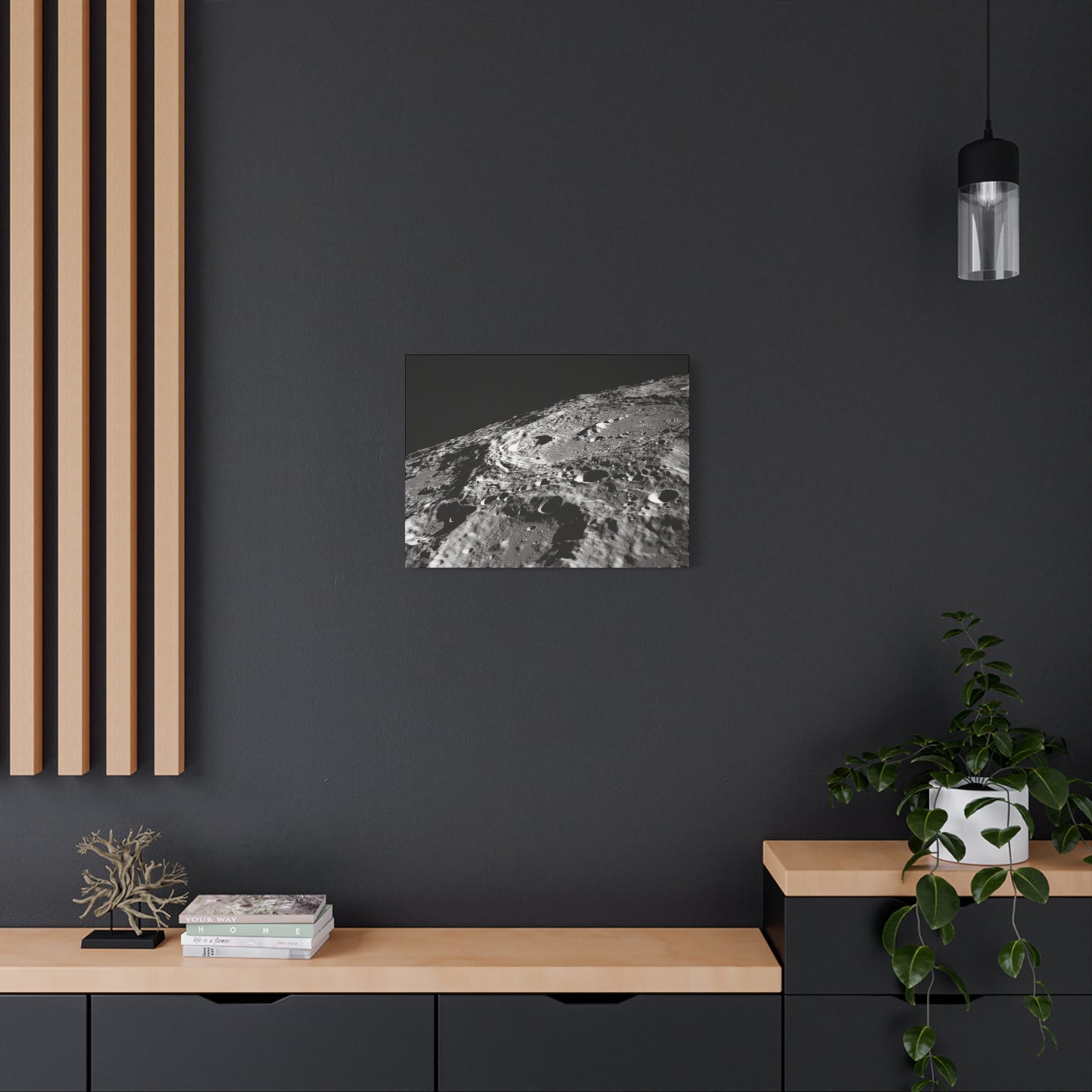 Lunar Surface Matte Canvas Print — Black & White Moon Crater Wall Art