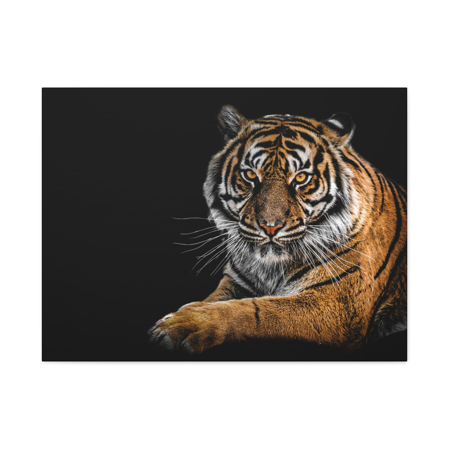 Majestic Tiger Canvas Art, Perfect for Animal Lovers