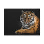 Majestic Tiger Canvas Art, Perfect for Animal Lovers