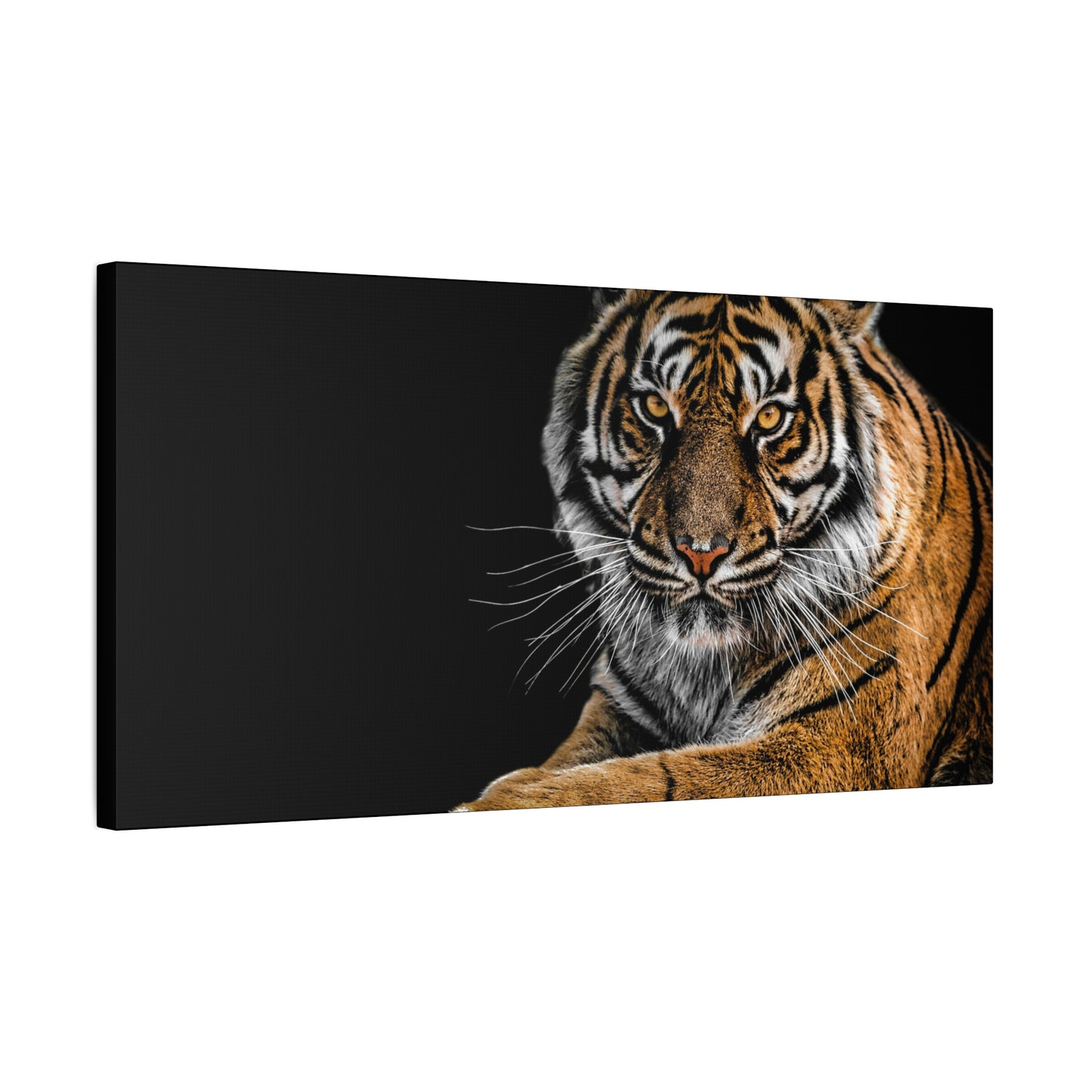 Majestic Tiger Canvas Art, Perfect for Animal Lovers
