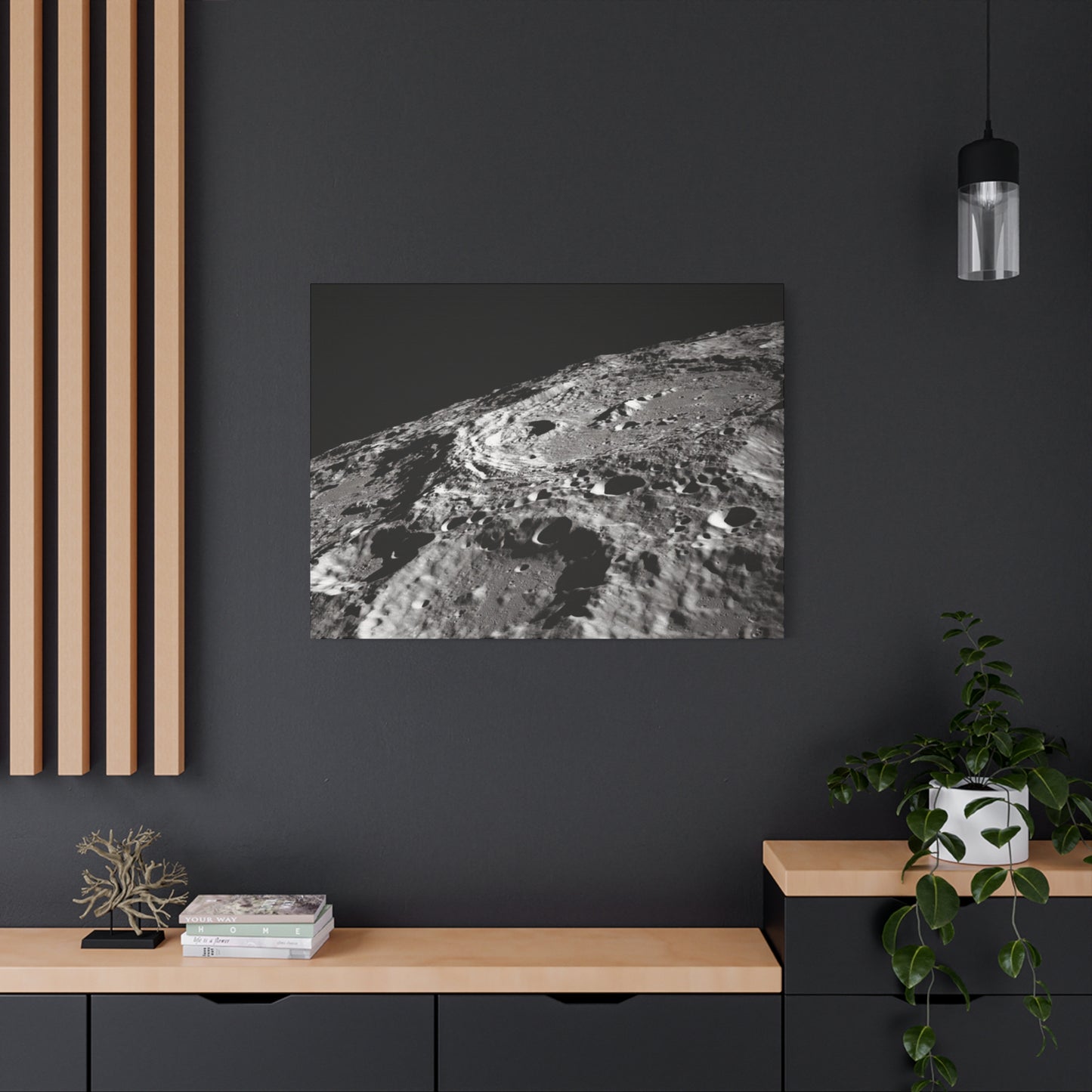 Lunar Surface Matte Canvas Print — Black & White Moon Crater Wall Art