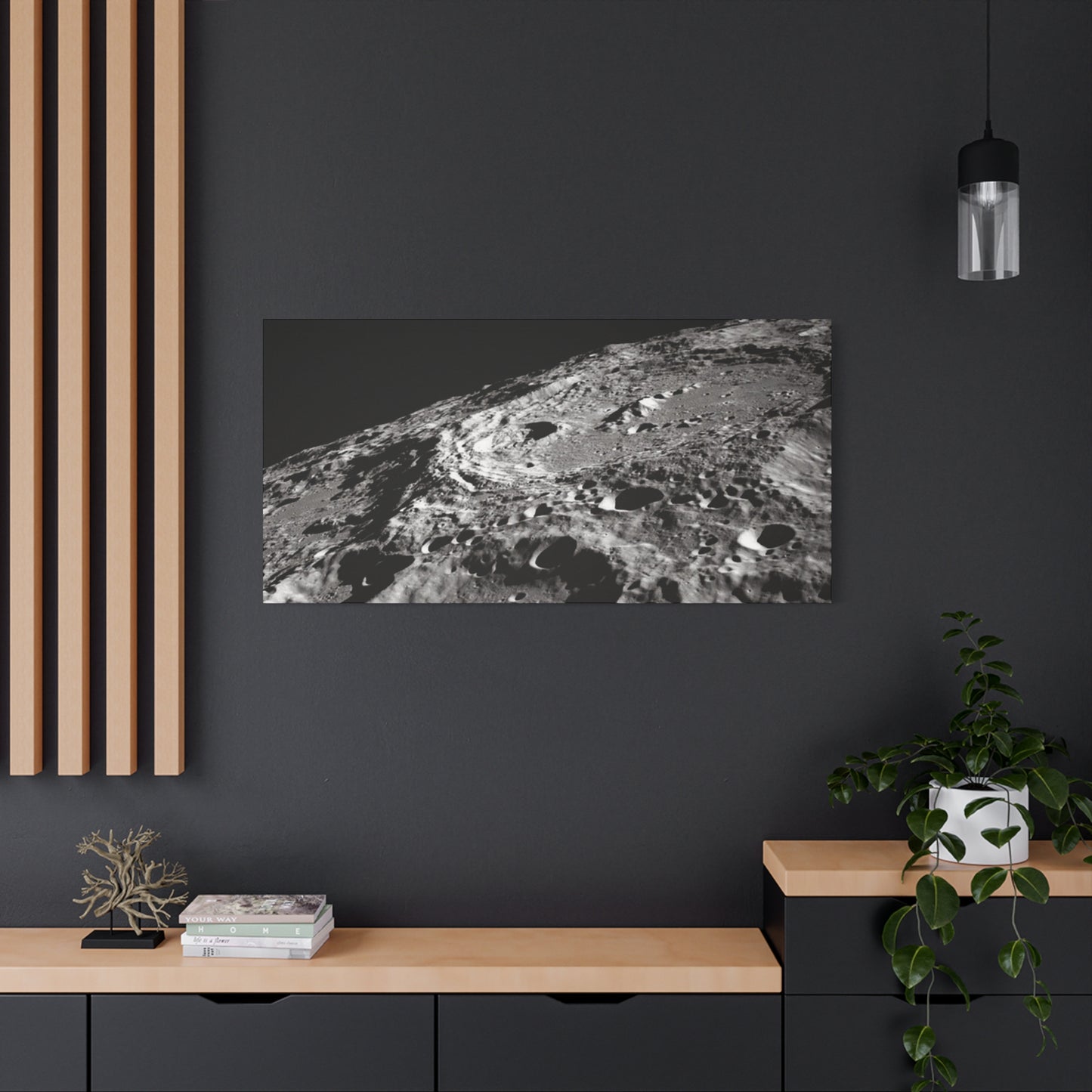 Lunar Surface Matte Canvas Print — Black & White Moon Crater Wall Art