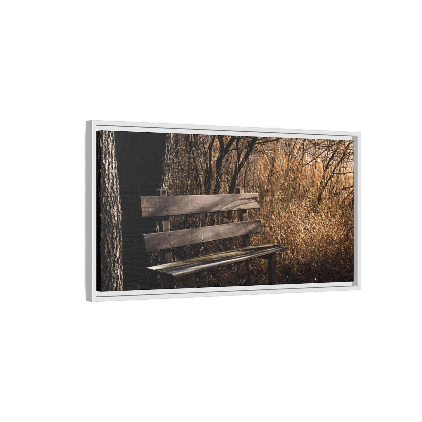 Framed Matte Canvas Print — Autumn Park Bench Photography