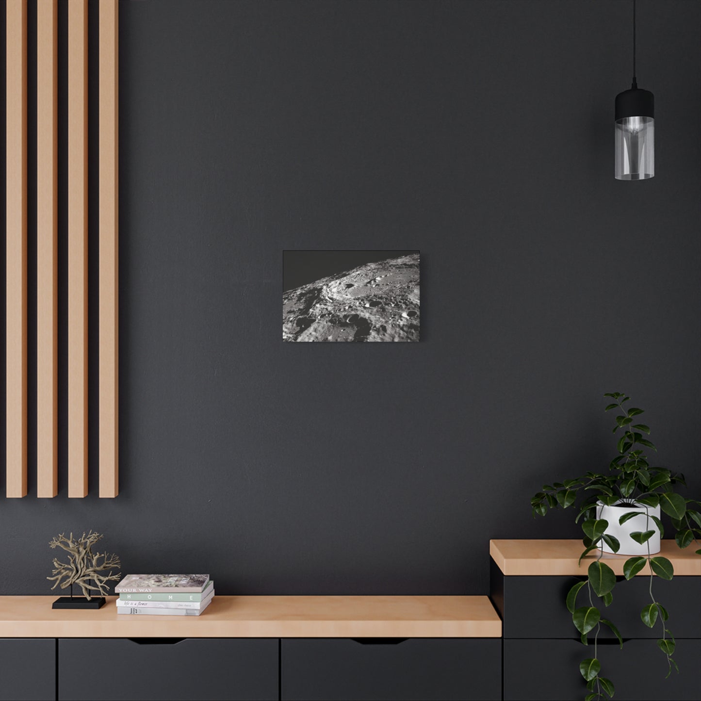 Lunar Surface Matte Canvas Print — Black & White Moon Crater Wall Art
