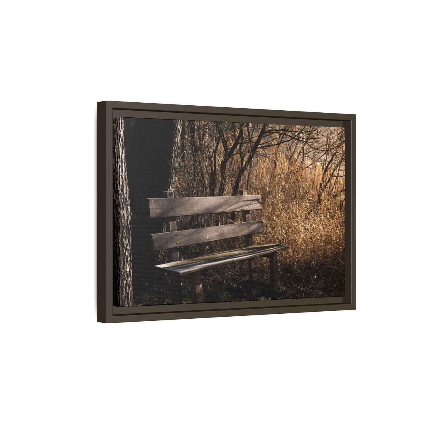 Framed Matte Canvas Print — Autumn Park Bench Photography