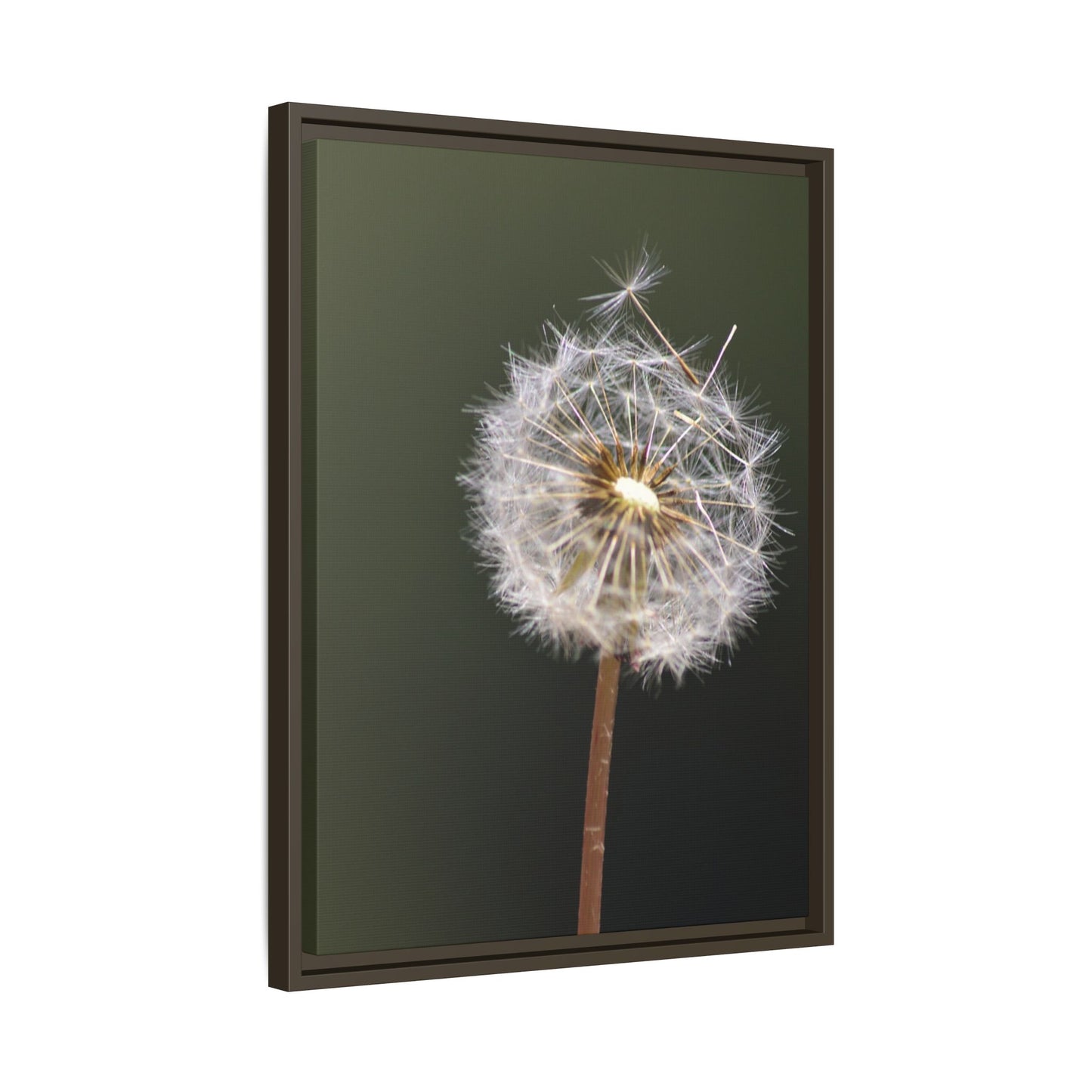Framed Dandelion Canvas Print — Matte Botanical Wall Art