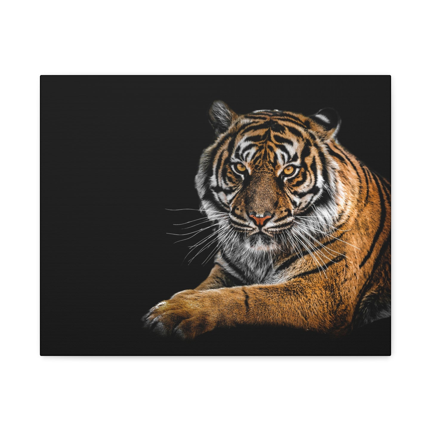 Majestic Tiger Canvas Art, Perfect for Animal Lovers