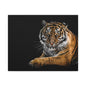 Majestic Tiger Canvas Art, Perfect for Animal Lovers