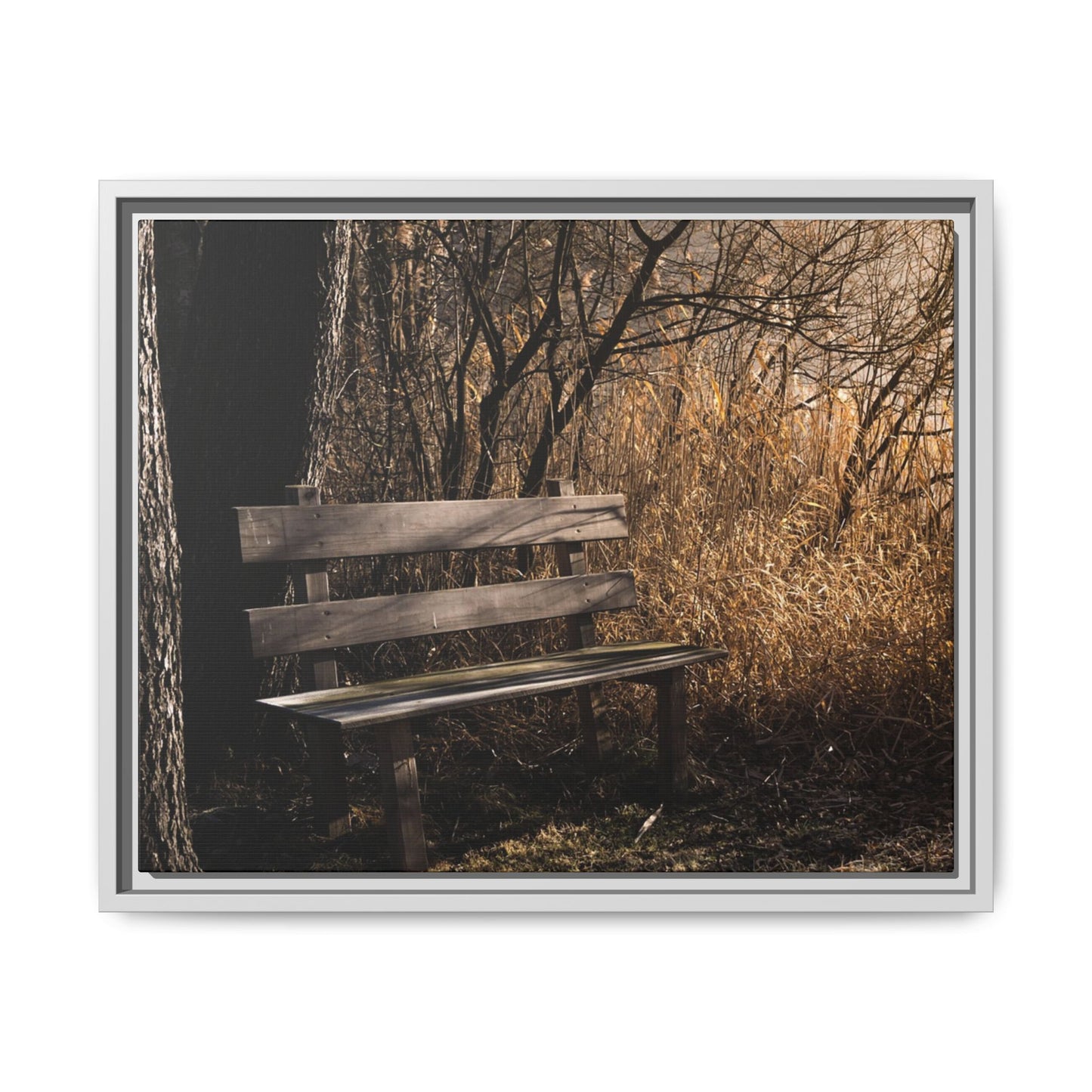 Framed Matte Canvas Print — Autumn Park Bench Photography