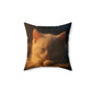 Kawaii Peekaboo Kittens Decorative Pillow — Cute Black & White Cat Throw Cushion