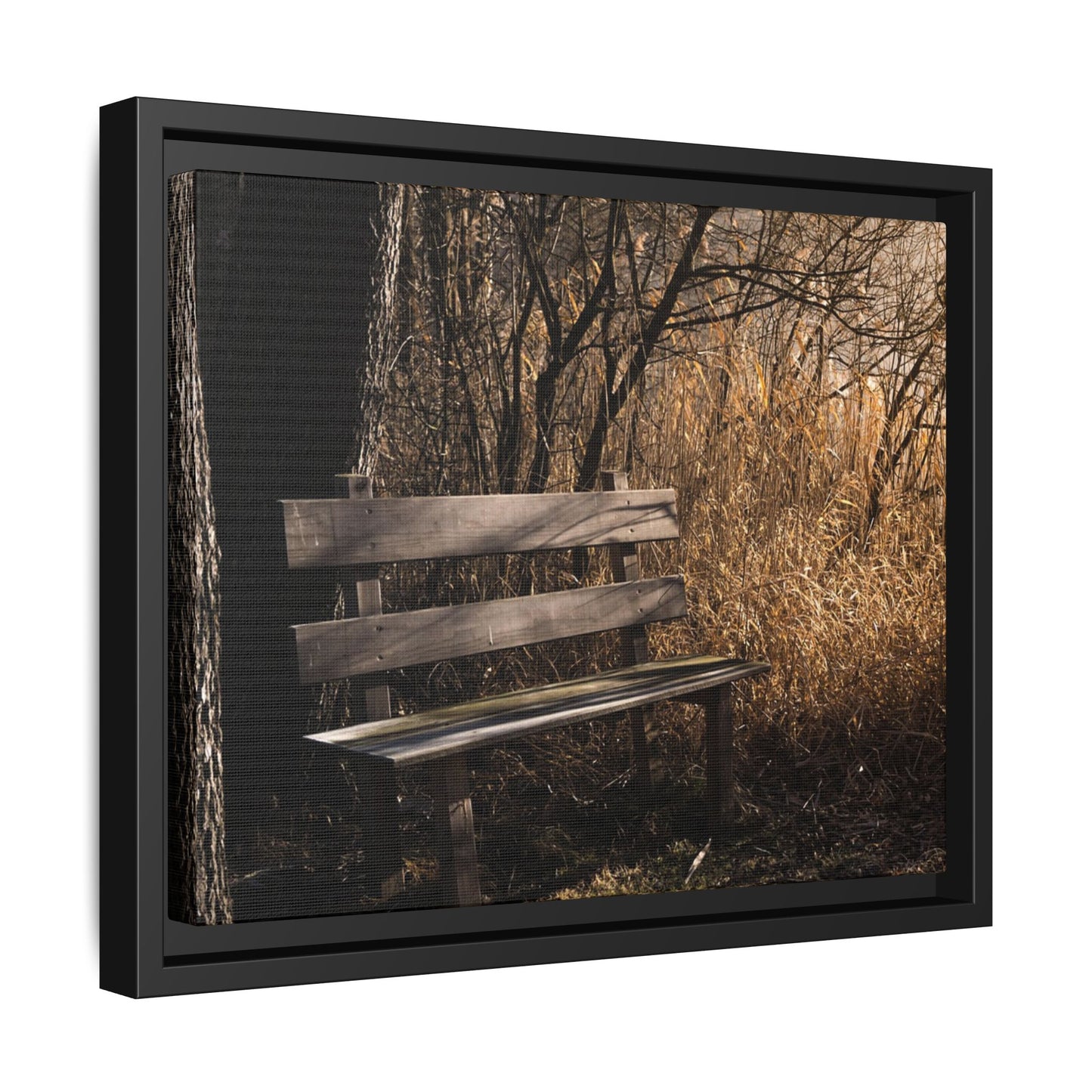 Framed Matte Canvas Print — Autumn Park Bench Photography