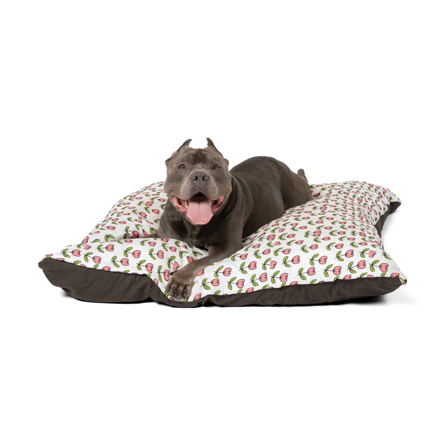 Pet Bed