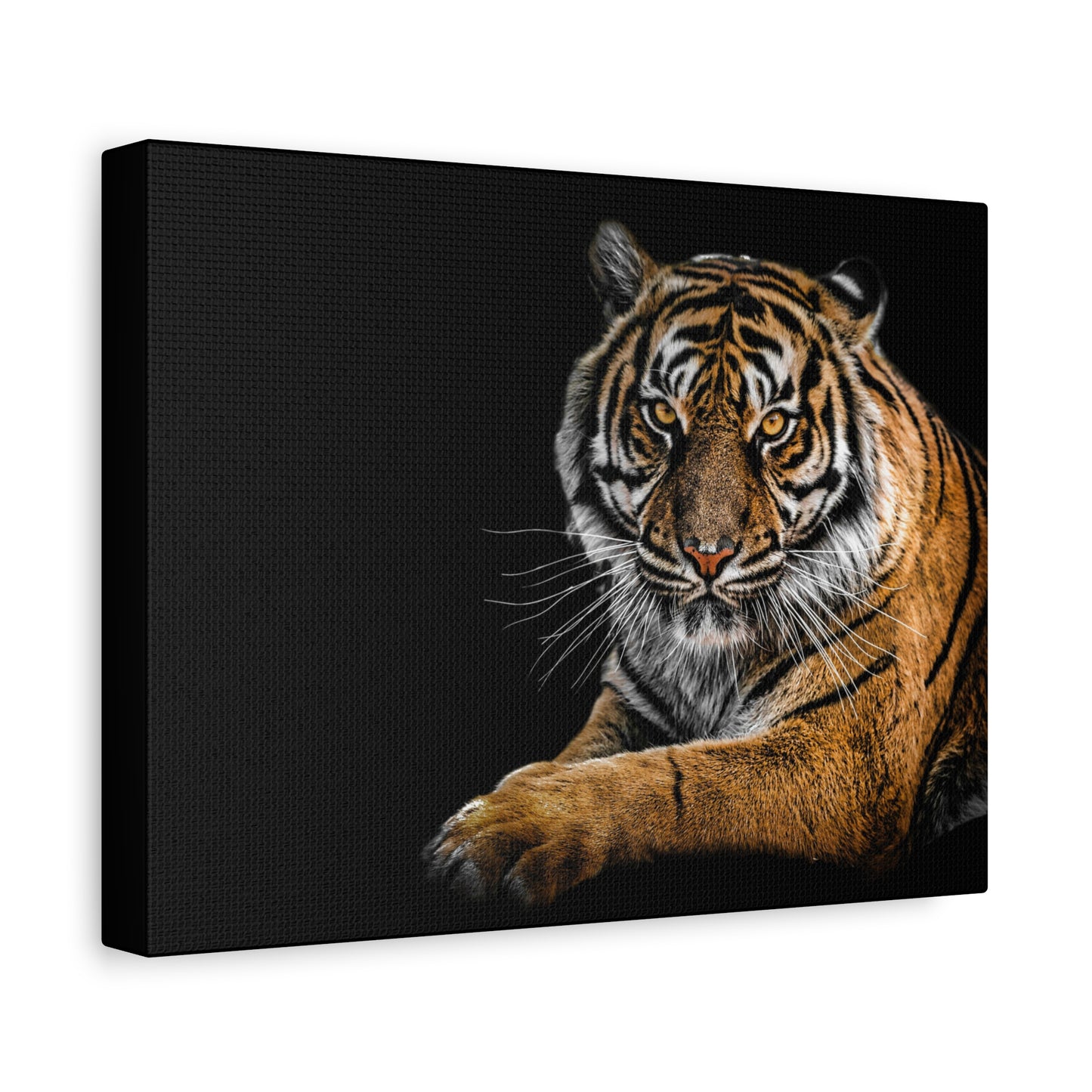 Majestic Tiger Canvas Art, Perfect for Animal Lovers