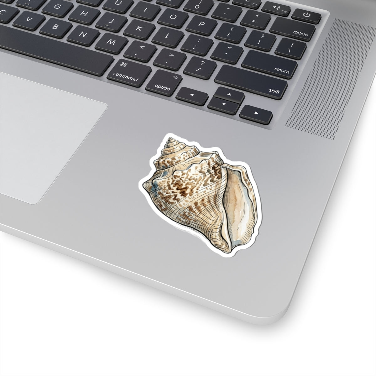 Seashell Kiss-Cut Sticker — Realistic Conch Shell Laptop Decal