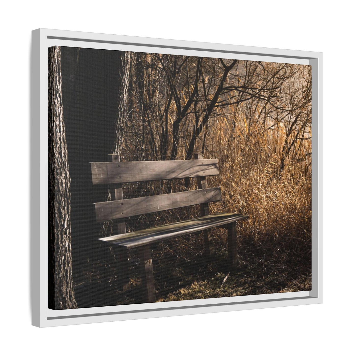 Framed Matte Canvas Print — Autumn Park Bench Photography