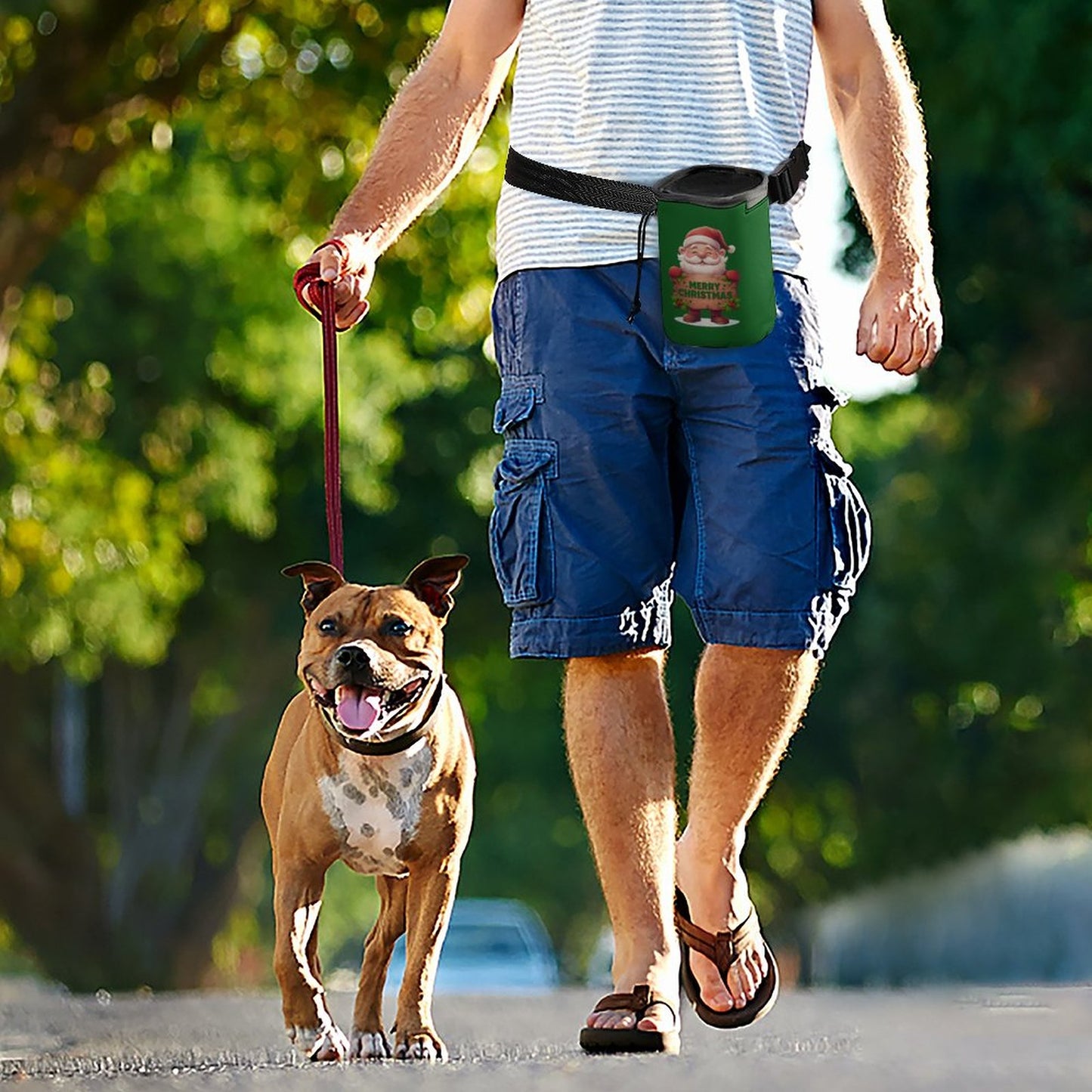 Dog Treat Training Bags Storage for Pet Rewards A007